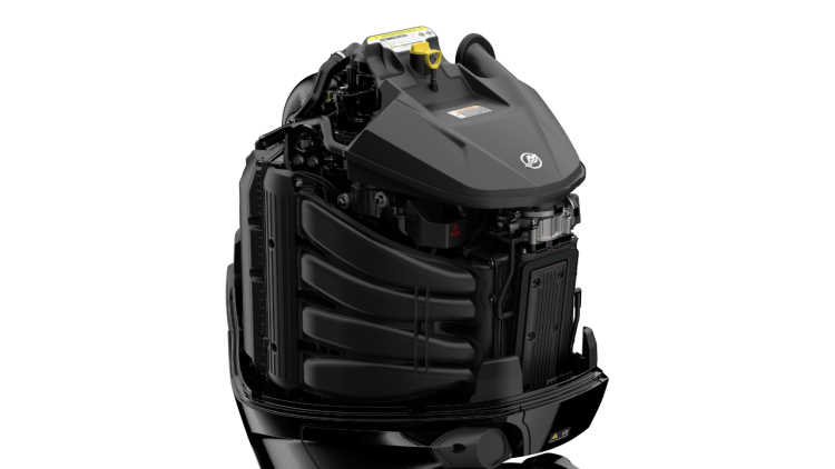 Mercury F300 V8 XL CMS DTS