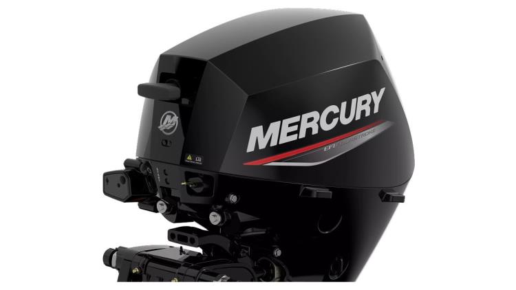 Mercury F20 EPT/ELPT EFI