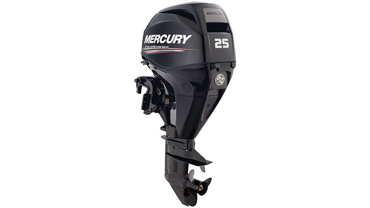 Mercury F25 E/EL EFI