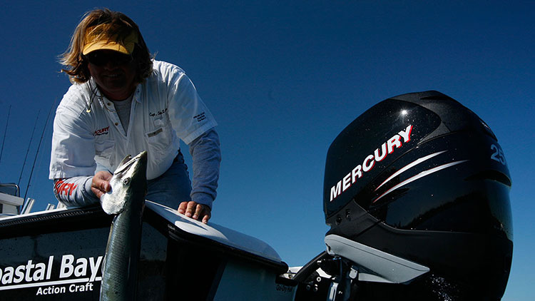 Mercury Verado 250 L/XL/CXL/XXL/CXXL